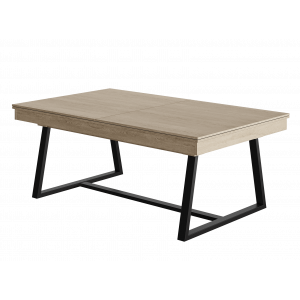 BILLARD RENE PIERRE BRIO 6