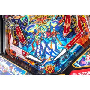 FLIPPER FOO FIGHTERS PRO 4