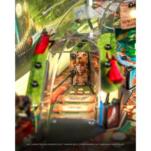 HARRY POTTER WIZARD 9