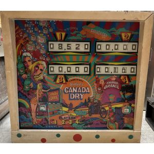 FLIPPER CANADA DRY 1