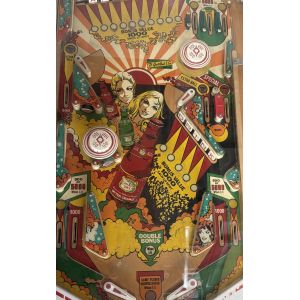 FLIPPER CANADA DRY 2