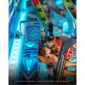 HARRY POTTER WIZARD 8