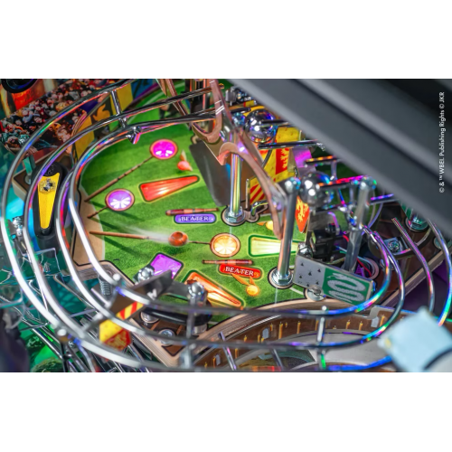 HARRY POTTER WIZARD 11