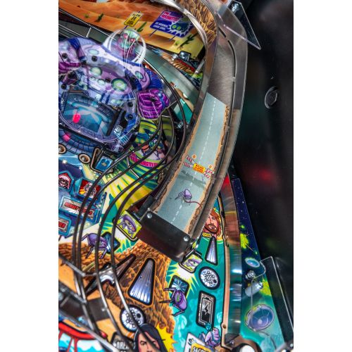 FLIPPER FOO FIGHTERS PRO 9