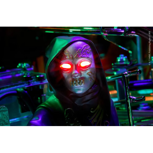 HARRY POTTER COLLECTOR 7